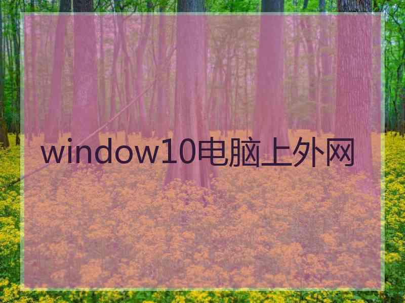 window10电脑上外网